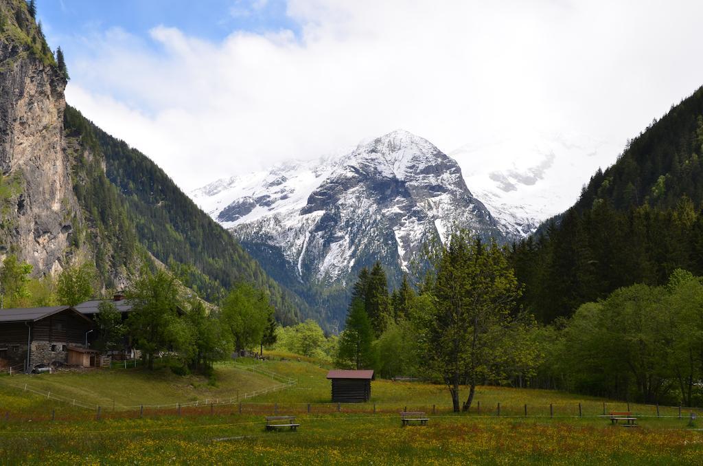 באד הופגסטין Winklers Gipfelblick Chalet, Inklusive Alpentherme - Ganzjahrig, Gasteiner Bergbahn - Nur Sommer מראה חיצוני תמונה
